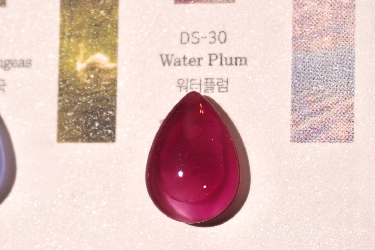 Water Plum Left Pointer